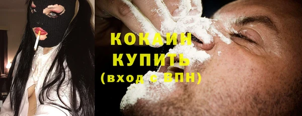 крисы Баксан