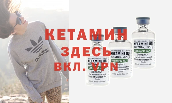 крисы Баксан