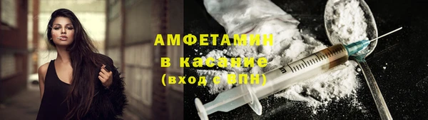 крисы Баксан