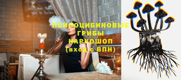 стаф Балахна