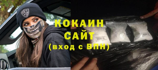 стаф Балахна