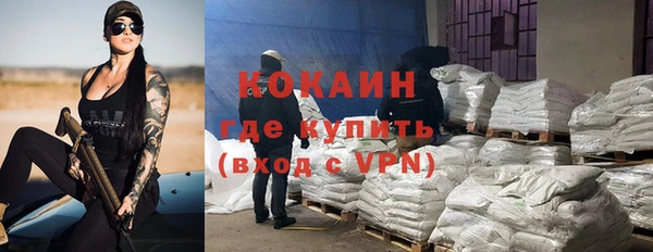 крисы Баксан